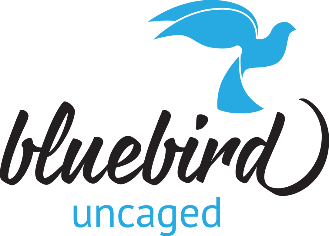 Bluebird_logo_color-noBG